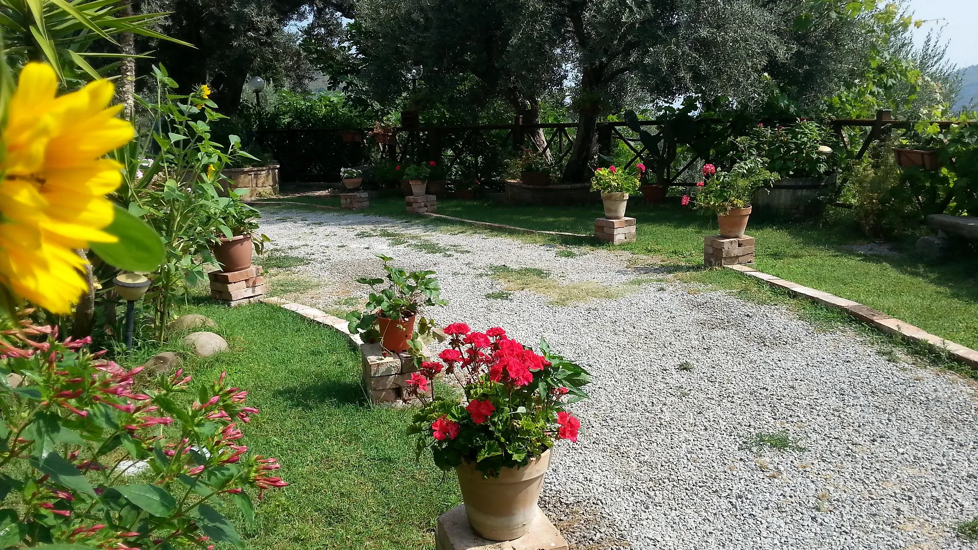 L'Uliveto Villa Reitano  Italy
