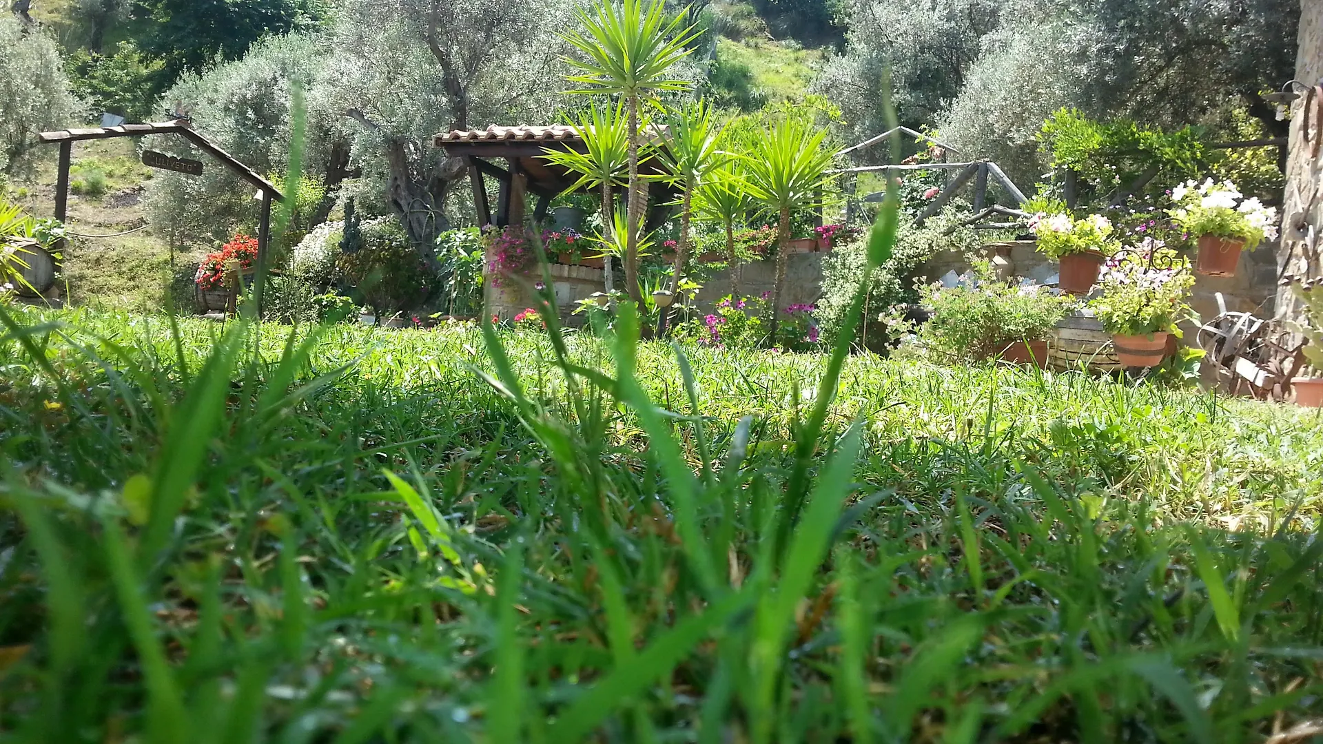 Farm stay L'Uliveto Villa Reitano  Italy