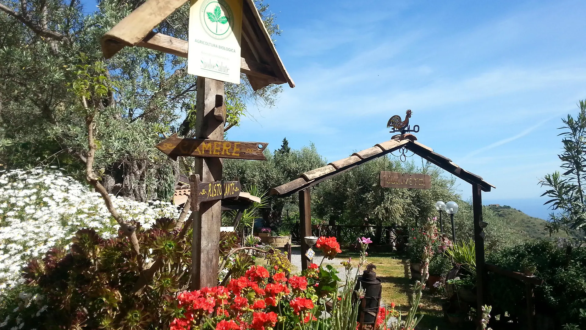 L'Uliveto Villa Reitano  Farm stay