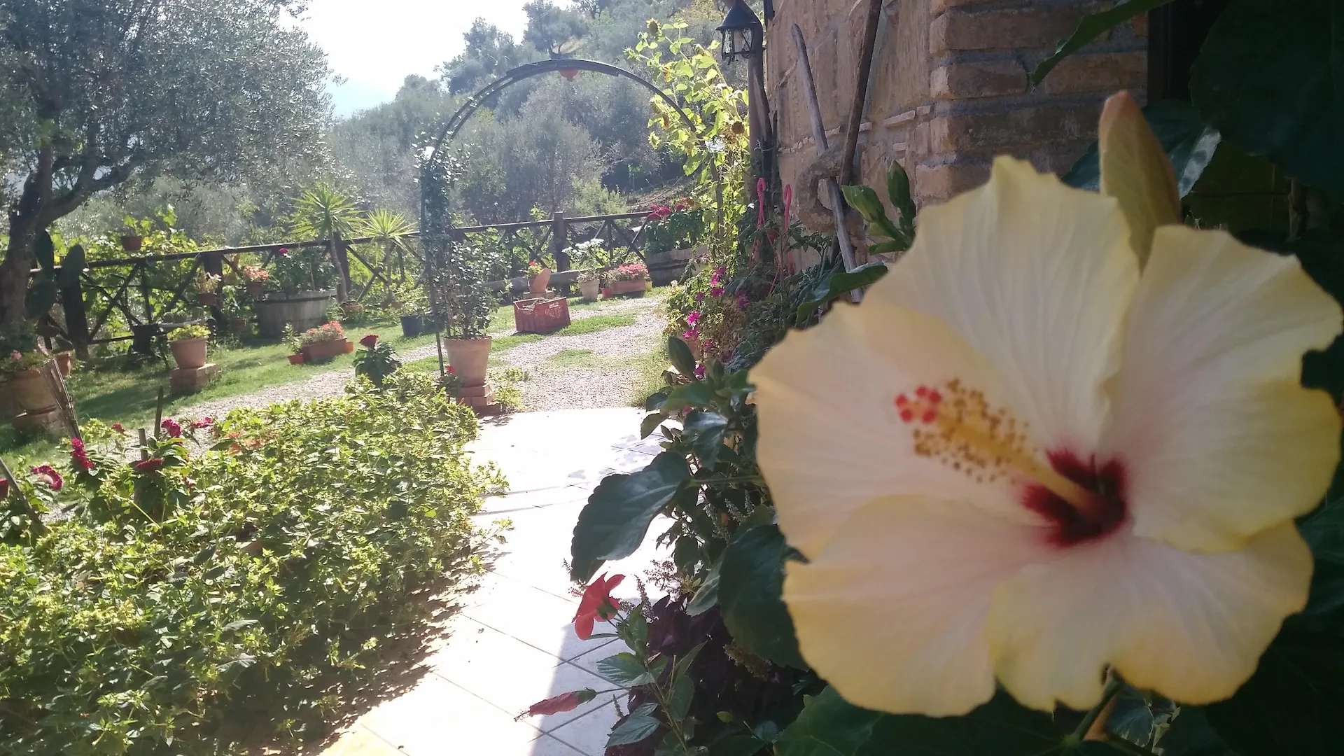 Farm stay L'Uliveto Villa Reitano