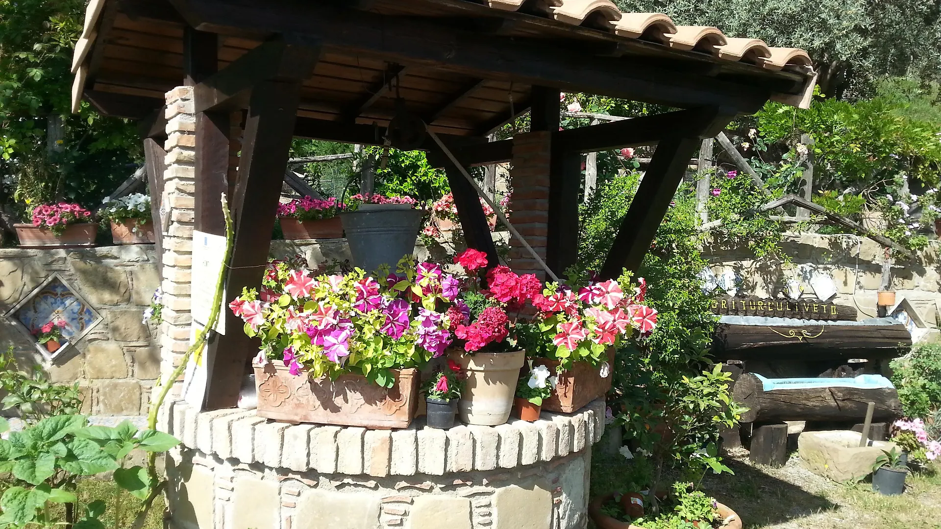 L'Uliveto Villa Reitano  Farm stay Reitano (Messina)