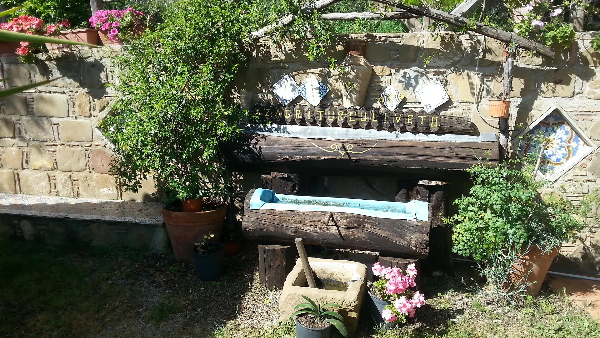 Farm stay L'Uliveto Villa Reitano  Italy