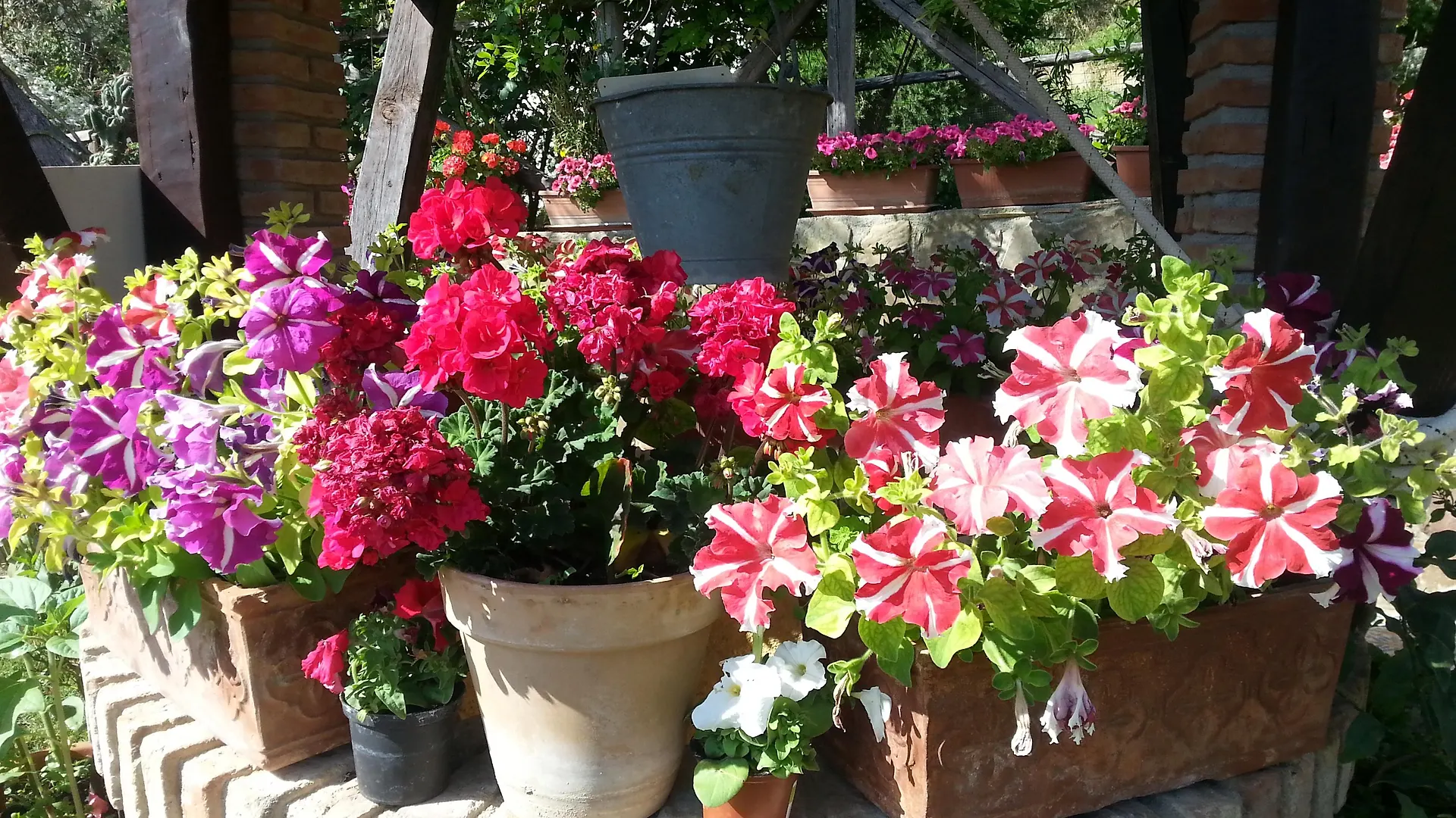 Farm stay L'Uliveto Villa Reitano