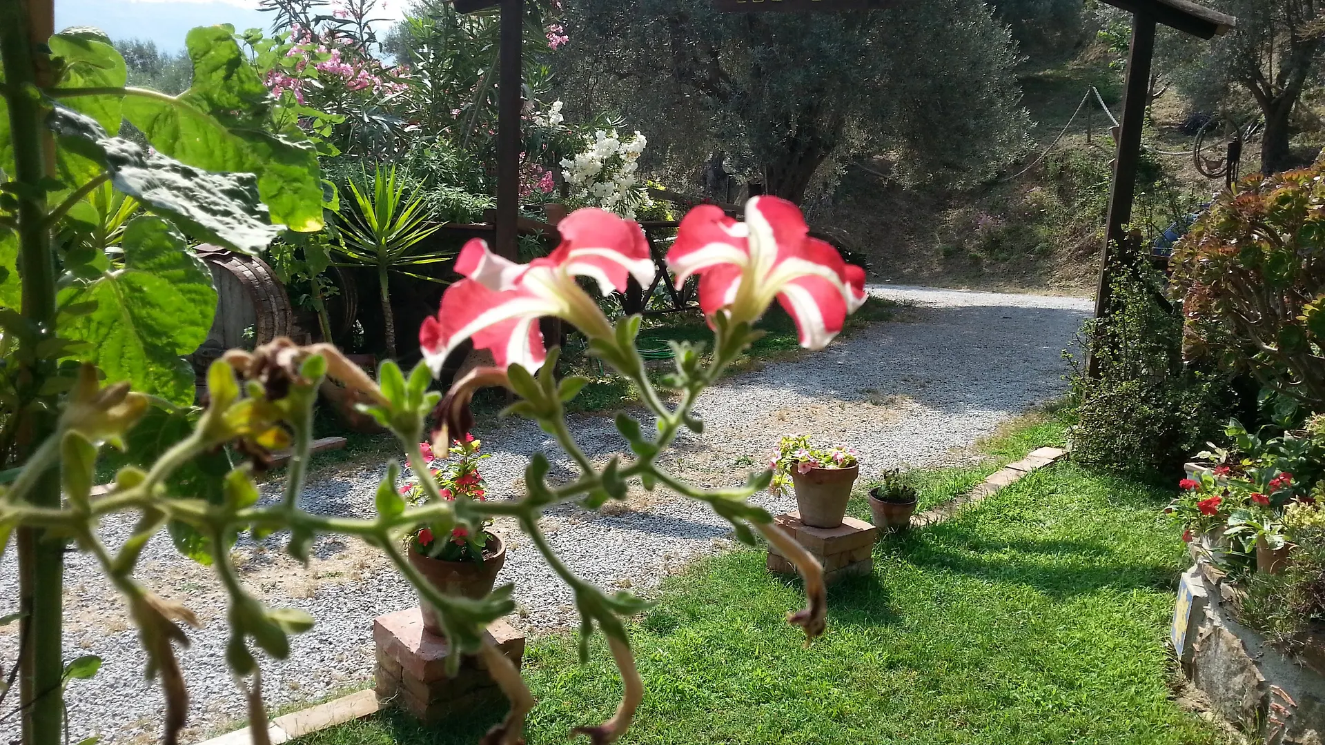 L'Uliveto Villa Reitano  0*, Reitano (Messina)
