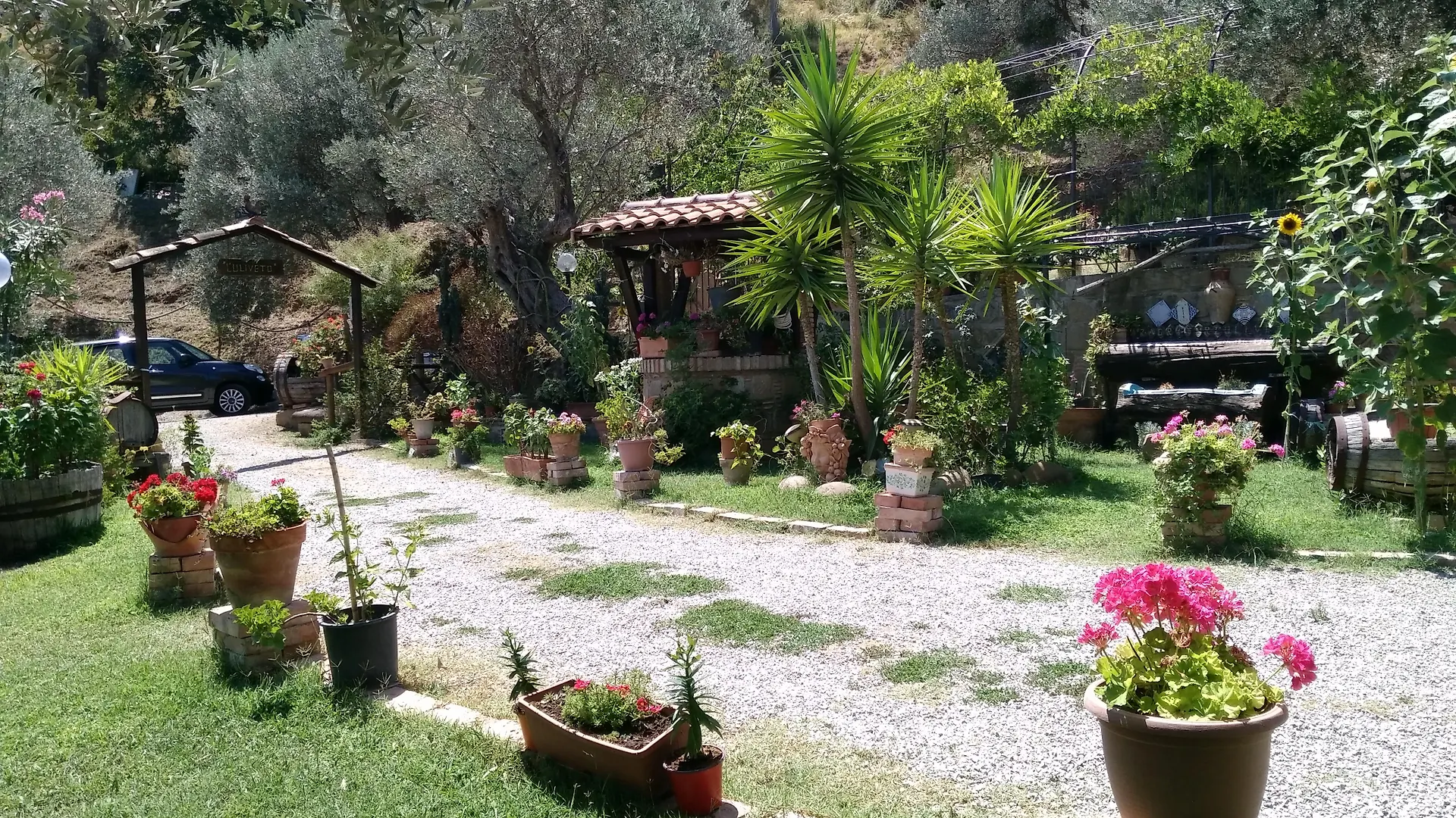 Farm stay L'Uliveto Villa Reitano  Italy