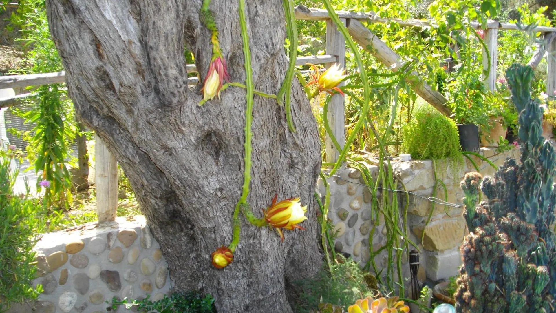 L'Uliveto Villa Reitano  Farm stay Reitano (Messina)