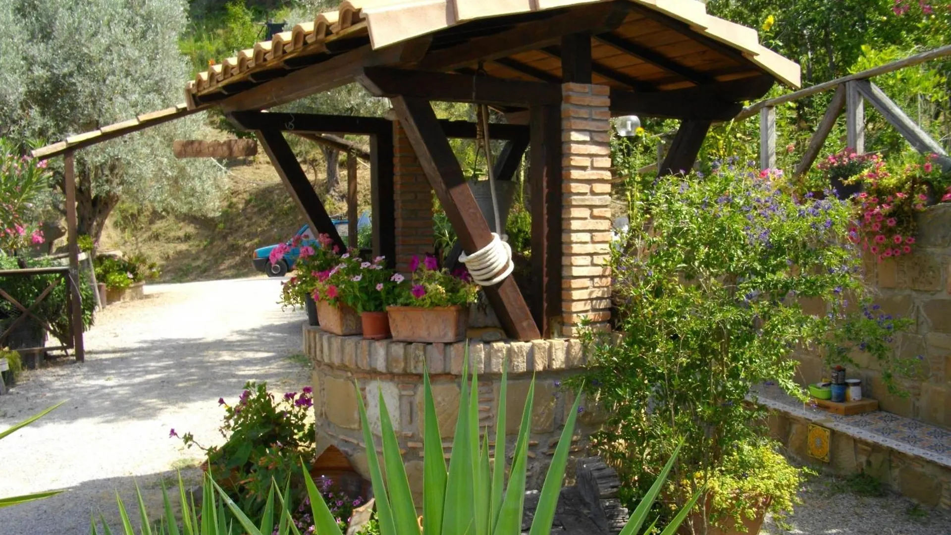 Farm stay L'Uliveto Villa Reitano  Italy