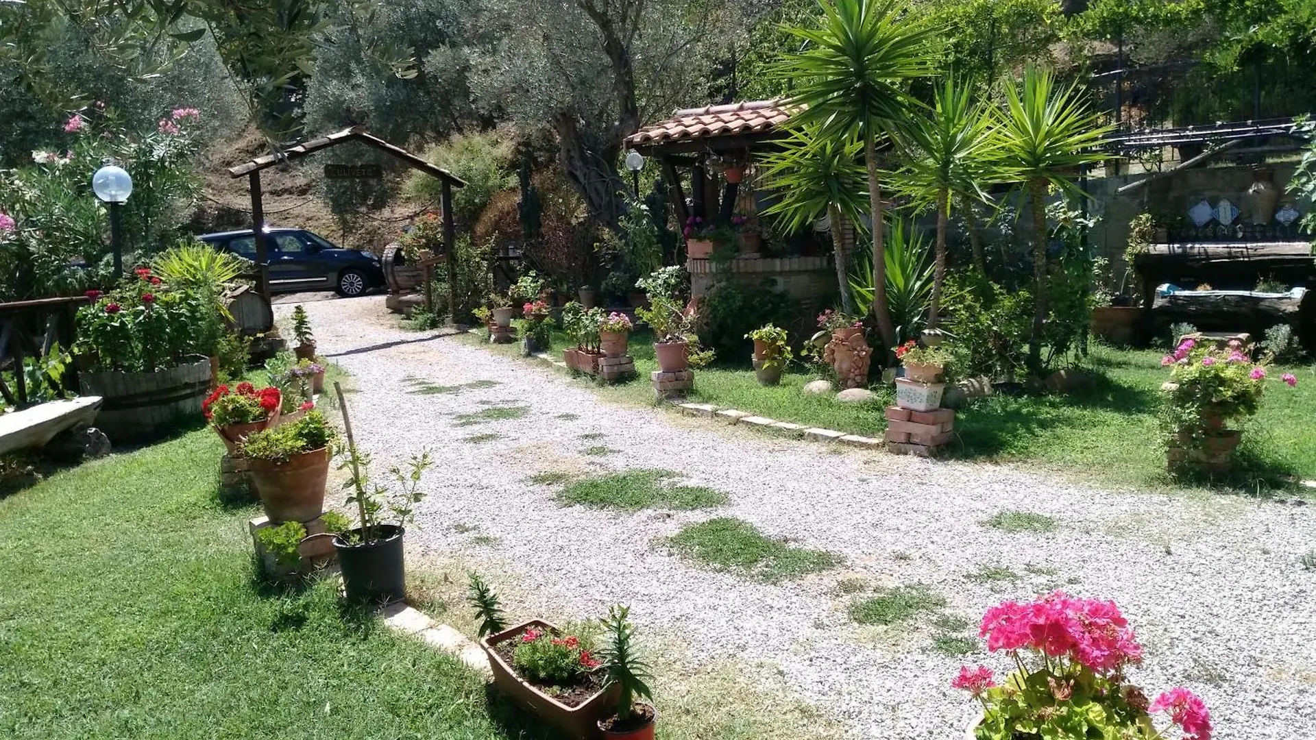L'Uliveto Villa Reitano  Farm stay