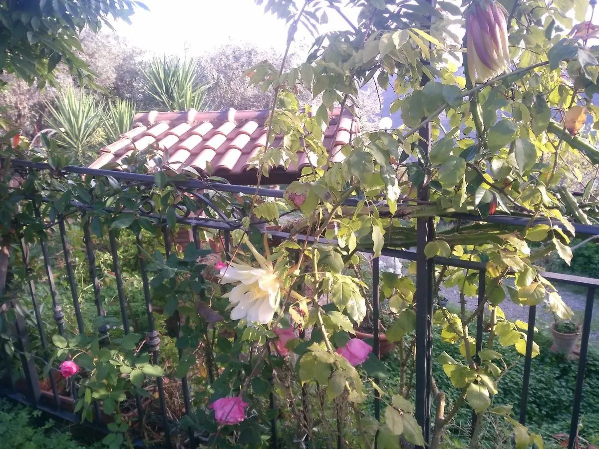Farm stay L'Uliveto Villa Reitano