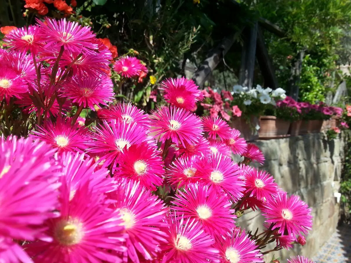 L'Uliveto Villa Reitano  Farm stay