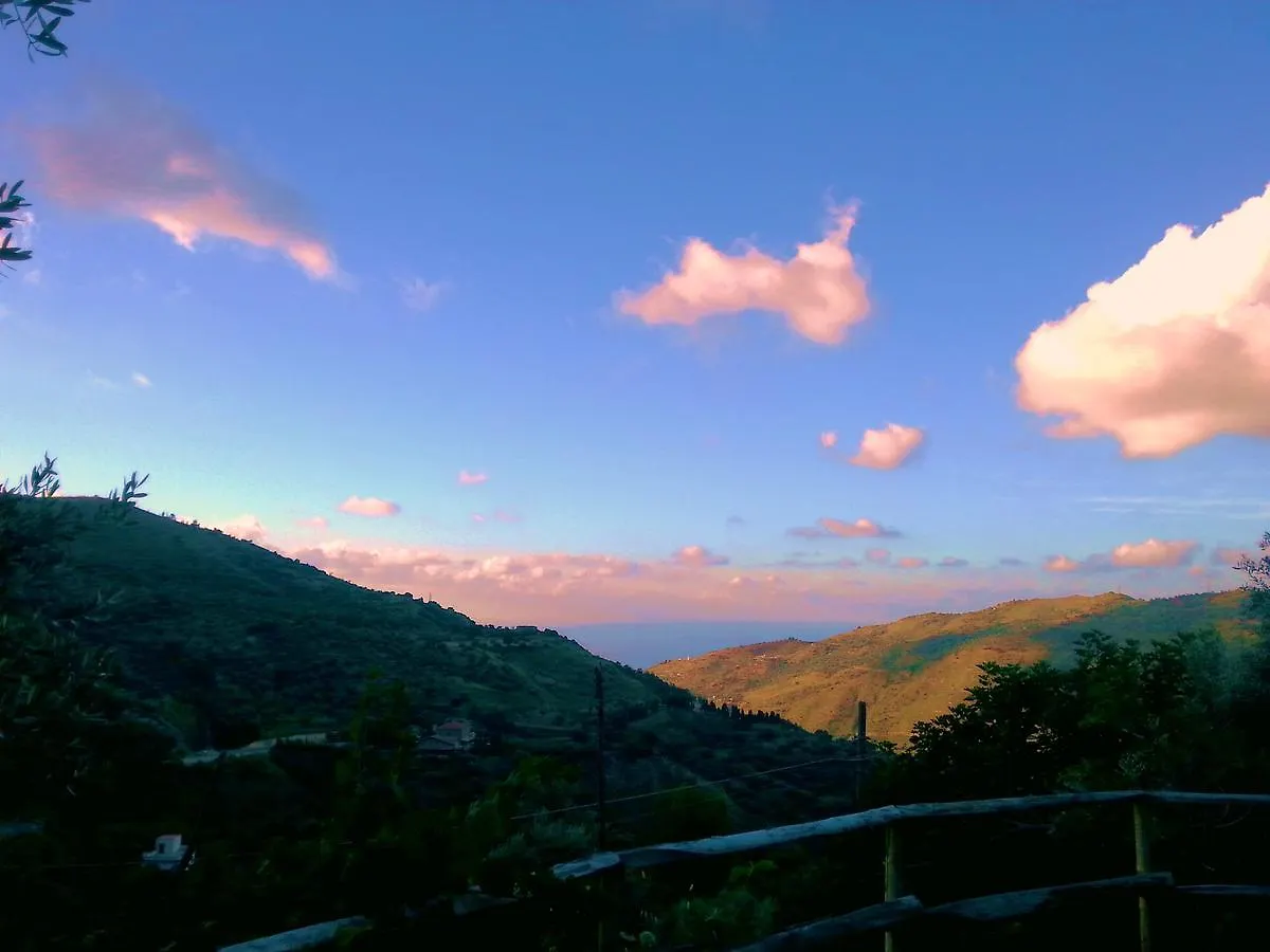 L'Uliveto Villa Reitano
